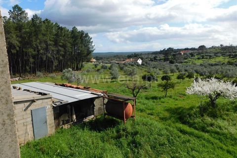 Gård i Fundao, Castelo Branco, Fundao - € 200 000 | Ref: 255240067 - foto 3