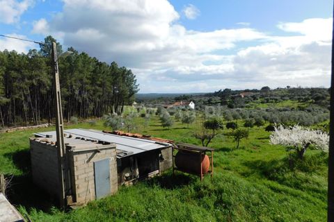 Gård i Fundao, Castelo Branco, Fundao - € 200 000 | Ref: 255240067 - foto 5