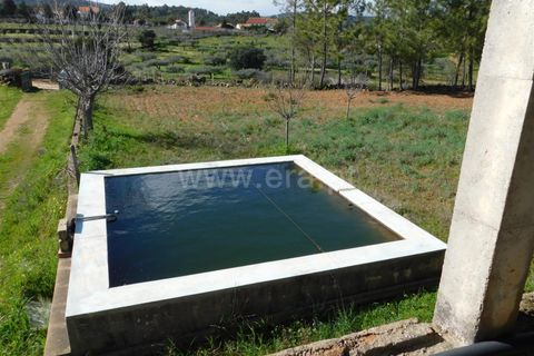 Gård i Fundao, Castelo Branco, Fundao - € 200 000 | Ref: 255240067 - foto 6