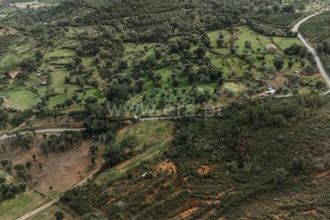 Helårsgrund i Fundao, Castelo Branco, Fundao - € 15.000 | Ref: 255240041 - foto 3