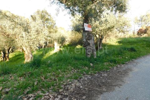 Tomt i Fundao, Castelo Branco, Fundao - € 6 500 | Ref: 255240042 - foto 4