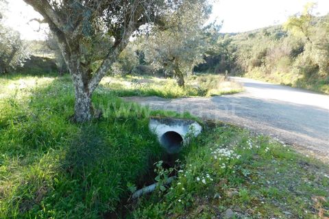 Helårsgrund i Fundao, Castelo Branco, Fundao - € 8.000 | Ref: 255240045 - foto 2