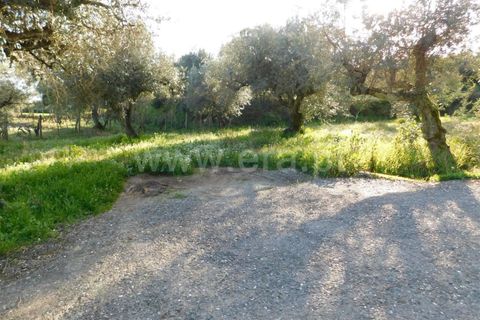 Helårsgrund i Fundao, Castelo Branco, Fundao - € 8.000 | Ref: 255240045 - foto 3
