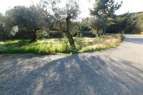 Helårsgrund i Fundao, Castelo Branco, Fundao - € 8.000 | Ref: 255240045 - foto 4