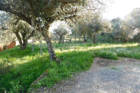 Helårsgrund i Fundao, Castelo Branco, Fundao - € 8.000 | Ref: 255240045 - foto 5