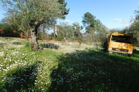 Tomt i Fundao, Castelo Branco, Fundao - € 28 500 | Ref: 255240043 - foto 4