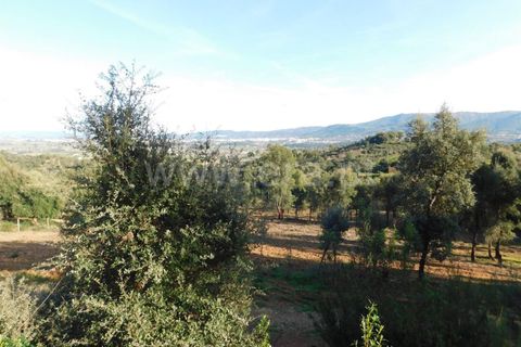 Tomt i Fundao, Castelo Branco, Fundao - € 28 500 | Ref: 255240043 - foto 7