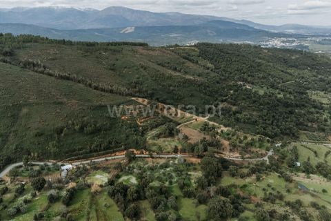 Tomt i Fundao, Castelo Branco, Fundao - € 28 500 | Ref: 255240043 - foto 13