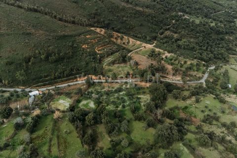 Tomt i Fundao, Castelo Branco, Fundao - € 28 500 | Ref: 255240043 - foto 14