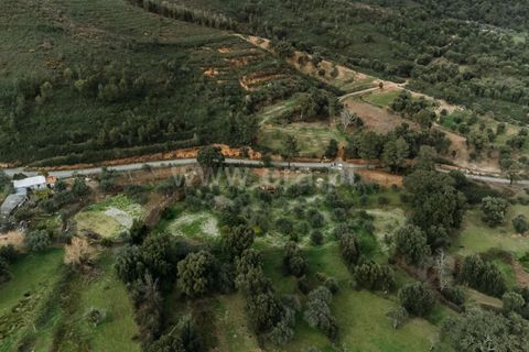 Tomt i Fundao, Castelo Branco, Fundao - € 28 500 | Ref: 255240043 - foto 15