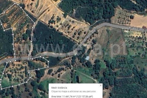 Terreno en Fundao, Castelo Branco, Fundao - € 28.500 | Ref: 255240043 - photo 16