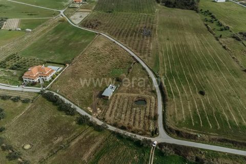 Helårsgrund i Fundao, Castelo Branco, Fundao - € 38.500 | Ref: 255240044 - foto 7