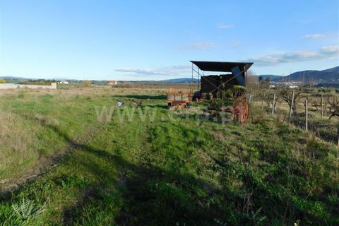 Helårsgrund i Fundao, Castelo Branco, Fundao - € 38.500 | Ref: 255240044 - foto 2