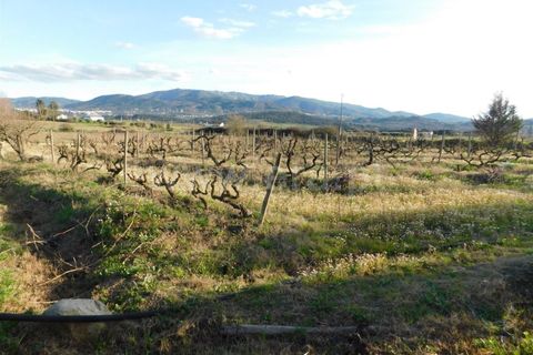 Helårsgrund i Fundao, Castelo Branco, Fundao - € 38.500 | Ref: 255240044 - foto 3