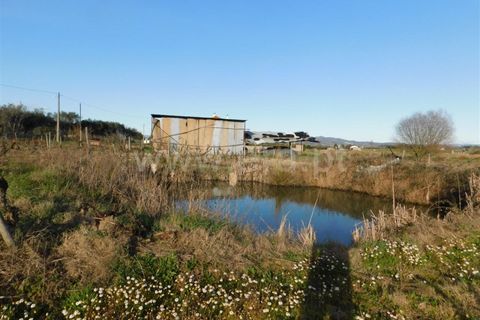 Helårsgrund i Fundao, Castelo Branco, Fundao - € 38.500 | Ref: 255240044 - foto 1