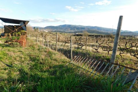 Helårsgrund i Fundao, Castelo Branco, Fundao - € 38.500 | Ref: 255240044 - foto 4