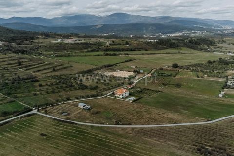 Helårsgrund i Fundao, Castelo Branco, Fundao - € 38.500 | Ref: 255240044 - foto 8
