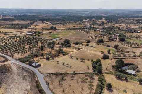 Landejendom i Fundao, Castelo Branco, Fundao - € 45.000 | Ref: 255240021 - foto 4