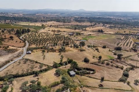 Landejendom i Fundao, Castelo Branco, Fundao - € 45.000 | Ref: 255240021 - foto 5