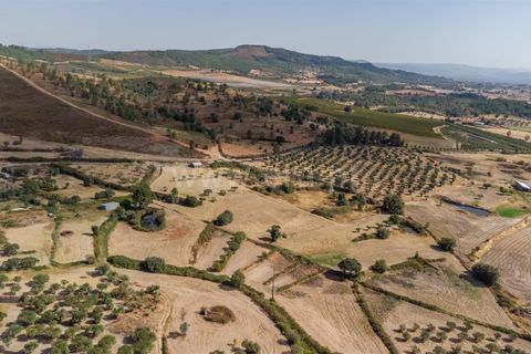 Landejendom i Fundao, Castelo Branco, Fundao - € 45.000 | Ref: 255240021 - foto 6