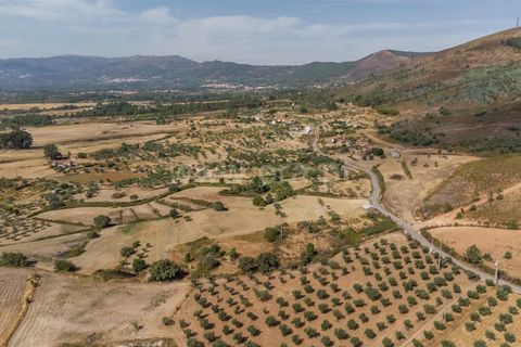 Landejendom i Fundao, Castelo Branco, Fundao - € 45.000 | Ref: 255240021 - foto 9