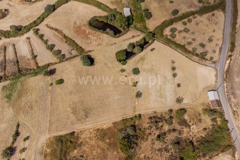 Landejendom i Fundao, Castelo Branco, Fundao - € 45.000 | Ref: 255240021 - foto 10