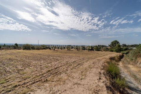 Landejendom i Fundao, Castelo Branco, Fundao - € 45.000 | Ref: 255240021 - foto 18
