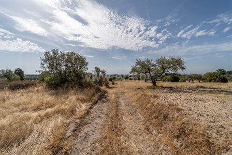 Landejendom i Fundao, Castelo Branco, Fundao - € 45.000 | Ref: 255240021 - foto 20