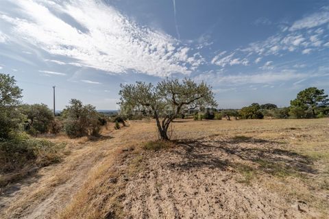 Landejendom i Fundao, Castelo Branco, Fundao - € 45.000 | Ref: 255240021 - foto 21