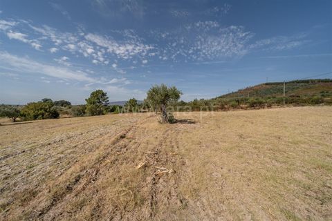 Landejendom i Fundao, Castelo Branco, Fundao - € 45.000 | Ref: 255240021 - foto 22