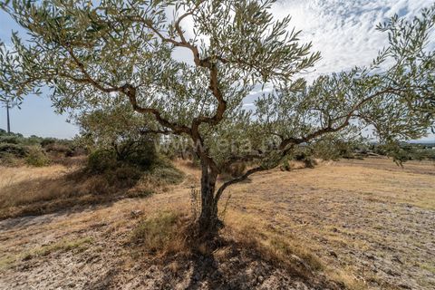 Landejendom i Fundao, Castelo Branco, Fundao - € 45.000 | Ref: 255240021 - foto 25