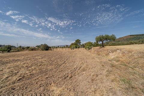 Landejendom i Fundao, Castelo Branco, Fundao - € 45.000 | Ref: 255240021 - foto 27