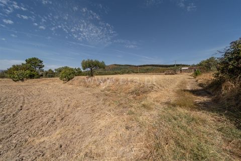 Landejendom i Fundao, Castelo Branco, Fundao - € 45.000 | Ref: 255240021 - foto 28