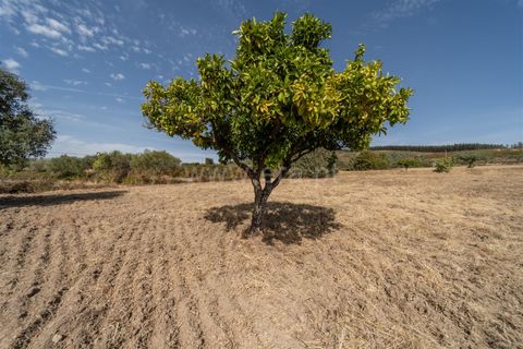 Landejendom i Fundao, Castelo Branco, Fundao - € 45.000 | Ref: 255240021 - foto 31
