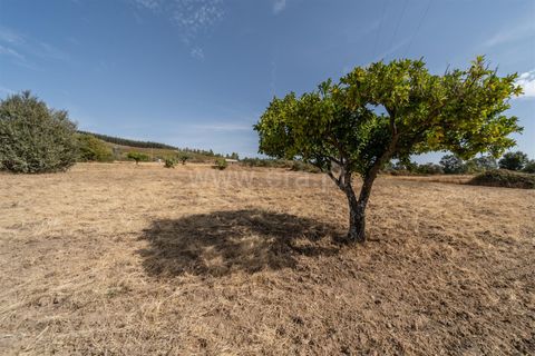 Landejendom i Fundao, Castelo Branco, Fundao - € 45.000 | Ref: 255240021 - foto 32