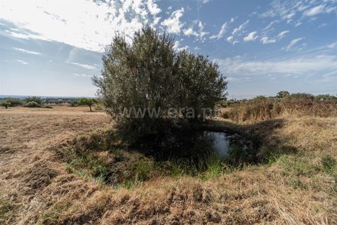 Landejendom i Fundao, Castelo Branco, Fundao - € 45.000 | Ref: 255240021 - foto 33