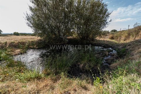 Landejendom i Fundao, Castelo Branco, Fundao - € 45.000 | Ref: 255240021 - foto 34