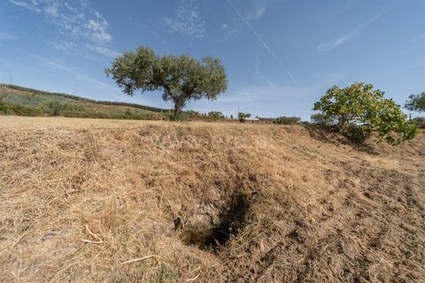 Landejendom i Fundao, Castelo Branco, Fundao - € 45.000 | Ref: 255240021 - foto 35