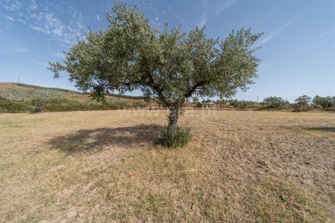 Landejendom i Fundao, Castelo Branco, Fundao - € 45.000 | Ref: 255240021 - foto 37