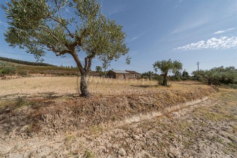 Landejendom i Fundao, Castelo Branco, Fundao - € 45.000 | Ref: 255240021 - foto 38