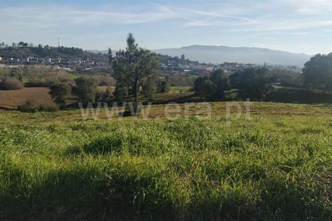 Tomt i Covilha, Castelo Branco, Covilha - € 57 500 | Ref: 255240023 - foto 2