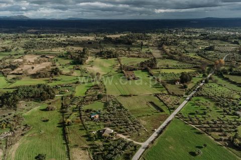 Herregård i Fundao, Castelo Branco, Fundao - € 57 500 | Ref: 255240030 - foto 3