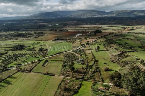 Herregård i Fundao, Castelo Branco, Fundao - € 57 500 | Ref: 255240030 - foto 5