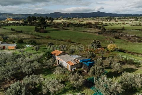 Herregård i Fundao, Castelo Branco, Fundao - € 57 500 | Ref: 255240030 - foto 8