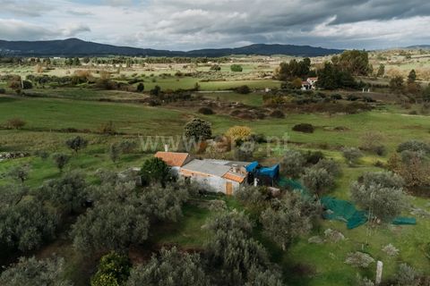 Herregård i Fundao, Castelo Branco, Fundao - € 57 500 | Ref: 255240030 - foto 9