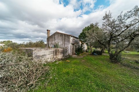 Herregård i Fundao, Castelo Branco, Fundao - € 57 500 | Ref: 255240030 - foto 12