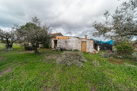 Herregård i Fundao, Castelo Branco, Fundao - € 57 500 | Ref: 255240030 - foto 13