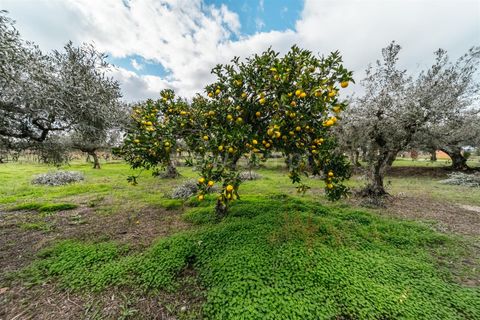 Herregård i Fundao, Castelo Branco, Fundao - € 57 500 | Ref: 255240030 - foto 17