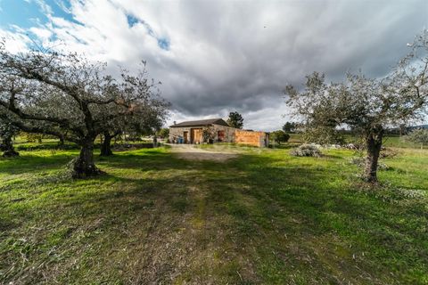 Herregård i Fundao, Castelo Branco, Fundao - € 57 500 | Ref: 255240030 - foto 19