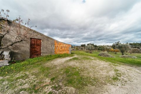 Herregård i Fundao, Castelo Branco, Fundao - € 57 500 | Ref: 255240030 - foto 20